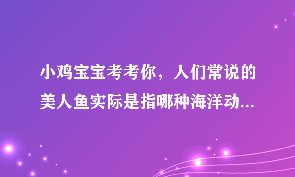 小鸡宝宝考考你，人们常说的美人鱼实际是指哪种海洋动物? 11月27日蚂蚁庄园答案