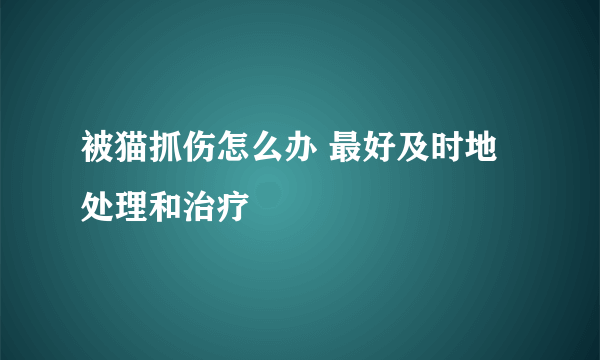 被猫抓伤怎么办 最好及时地处理和治疗