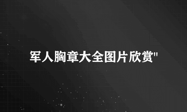 军人胸章大全图片欣赏