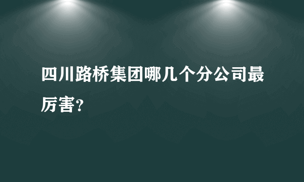 四川路桥集团哪几个分公司最厉害？