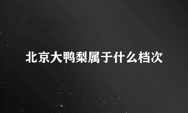 北京大鸭梨属于什么档次