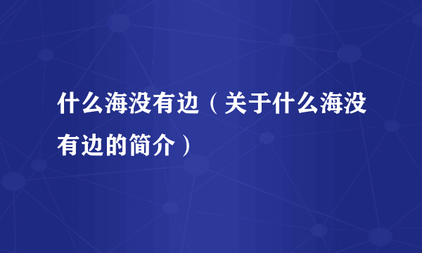 什么海没有边（关于什么海没有边的简介）