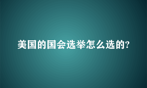 美国的国会选举怎么选的?