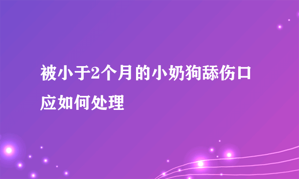 被小于2个月的小奶狗舔伤口应如何处理