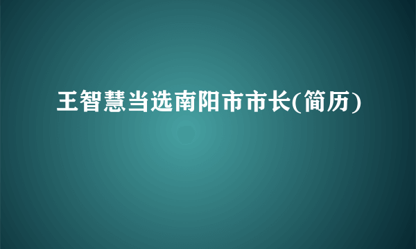 王智慧当选南阳市市长(简历)