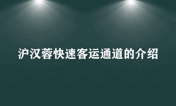 沪汉蓉快速客运通道的介绍