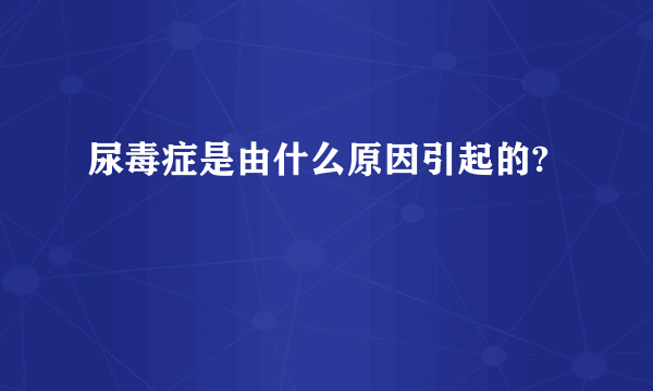 尿毒症是由什么原因引起的?