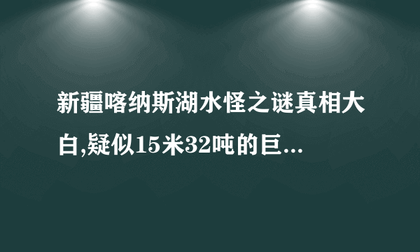 新疆喀纳斯湖水怪之谜真相大白,疑似15米32吨的巨型哲罗鲑(视频)