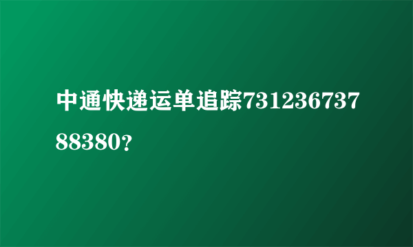 中通快递运单追踪73123673788380？