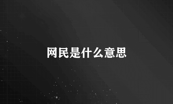 网民是什么意思