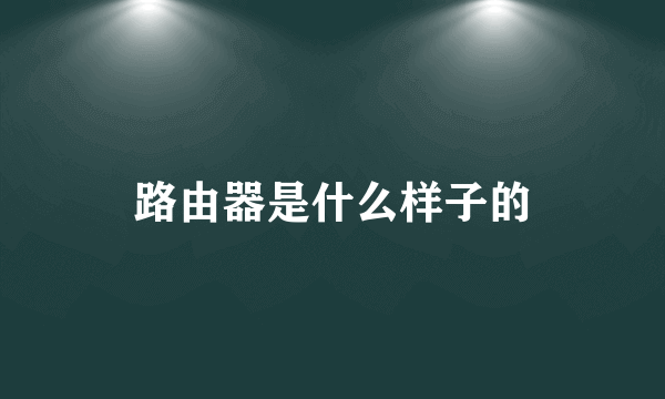 路由器是什么样子的