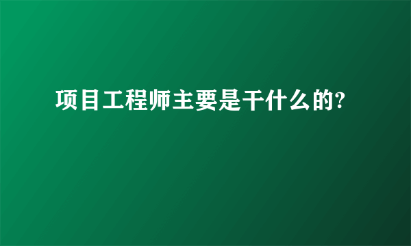 项目工程师主要是干什么的?