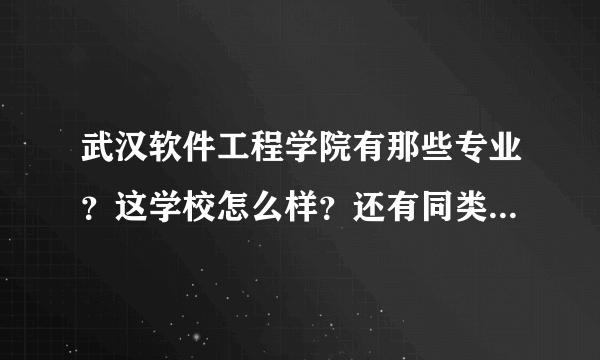 武汉软件工程学院有那些专业？这学校怎么样？还有同类更好的学校吗？我是技能高考计算机毕业的A等