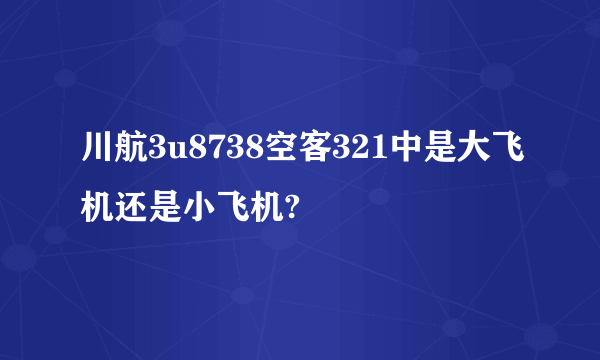 川航3u8738空客321中是大飞机还是小飞机?