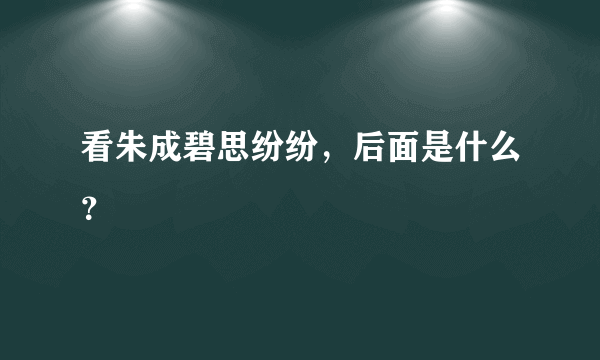 看朱成碧思纷纷，后面是什么？