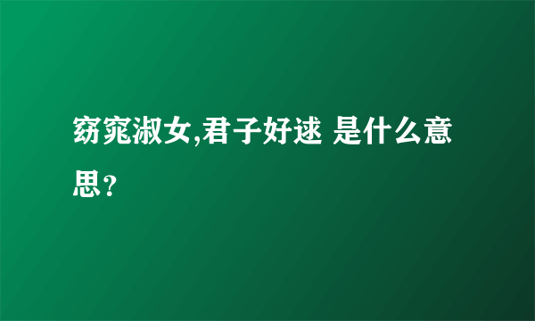 窈窕淑女,君子好逑 是什么意思？