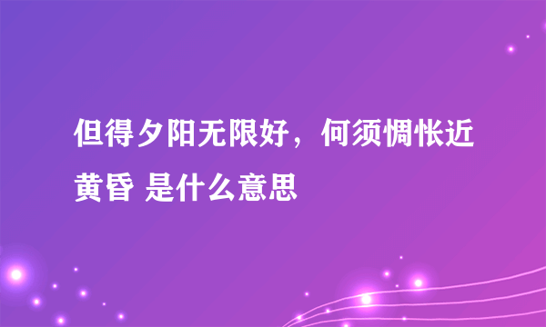 但得夕阳无限好，何须惆怅近黄昏 是什么意思