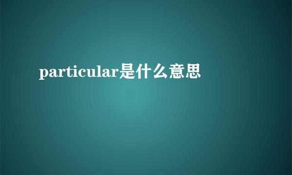 particular是什么意思