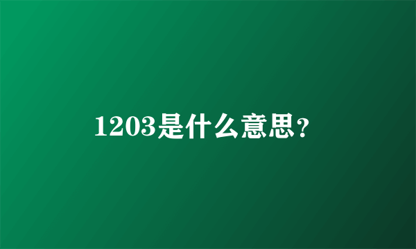 1203是什么意思？