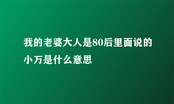 我的老婆大人是80后里面说的小万是什么意思