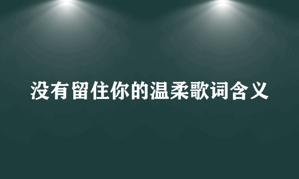 没有留住你的温柔歌词含义