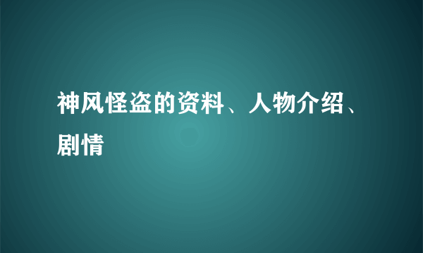 神风怪盗的资料、人物介绍、剧情