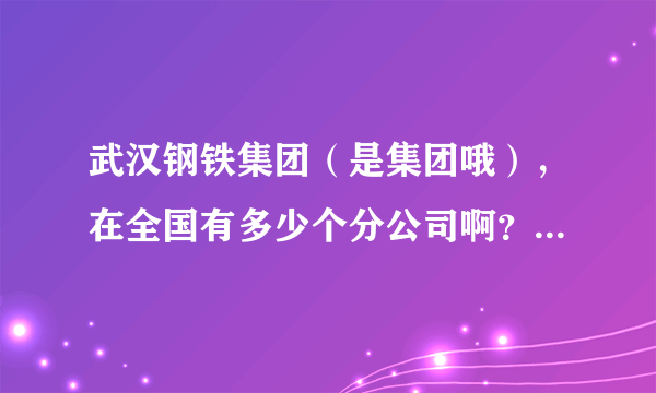 武汉钢铁集团（是集团哦），在全国有多少个分公司啊？在什么地区啊