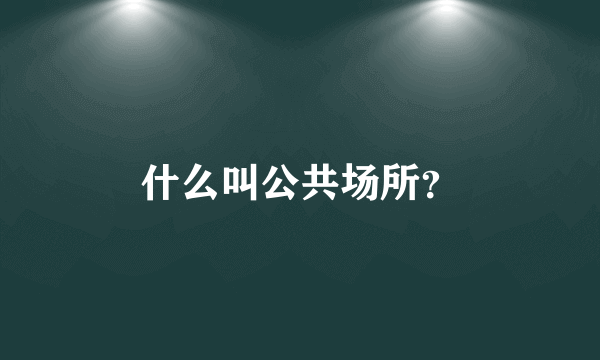 什么叫公共场所？