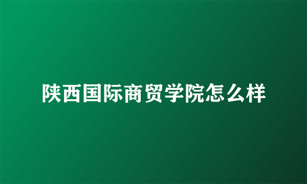 陕西国际商贸学院怎么样