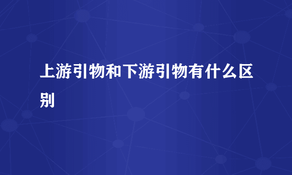 上游引物和下游引物有什么区别