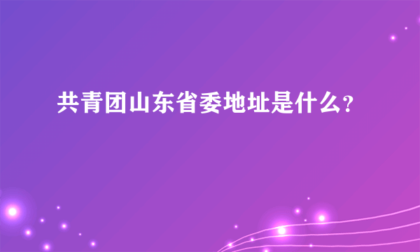 共青团山东省委地址是什么？