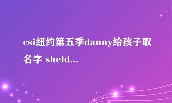 csi纽约第五季danny给孩子取名字 shelden吐槽他，danny走时，意味深长的说seeyoulatershelden什么意思