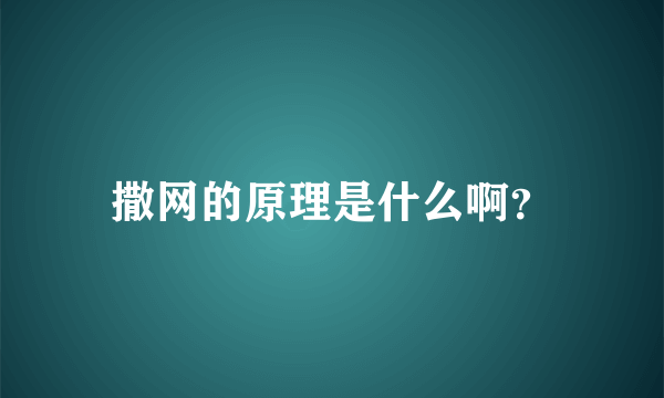 撒网的原理是什么啊？