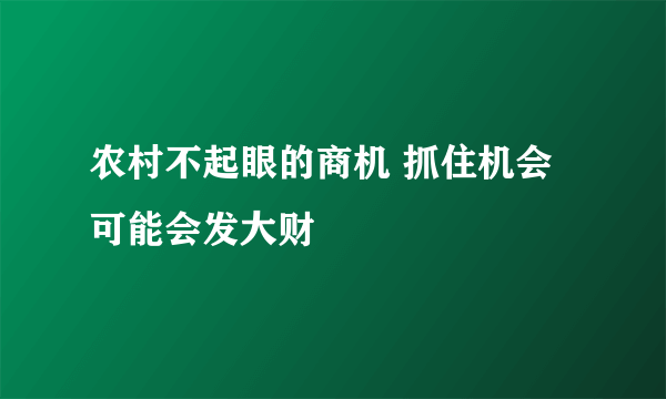 农村不起眼的商机 抓住机会可能会发大财