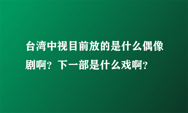 台湾中视目前放的是什么偶像剧啊？下一部是什么戏啊？