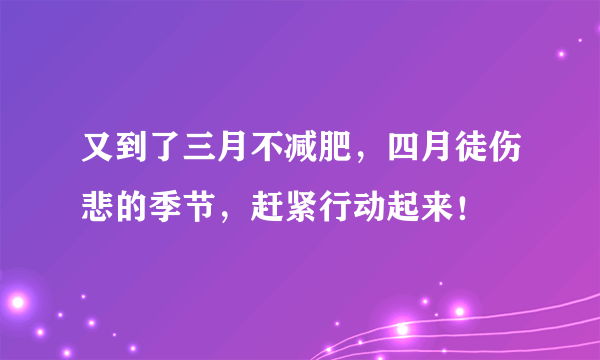 又到了三月不减肥，四月徒伤悲的季节，赶紧行动起来！