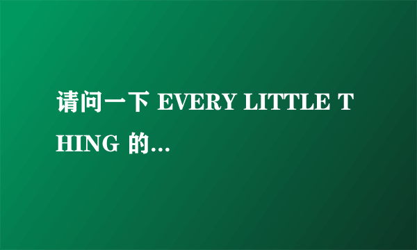 请问一下 EVERY LITTLE THING 的详细资料？