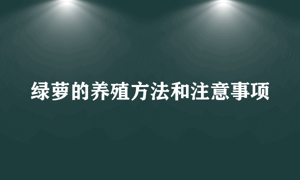 绿萝的养殖方法和注意事项