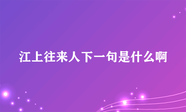 江上往来人下一句是什么啊