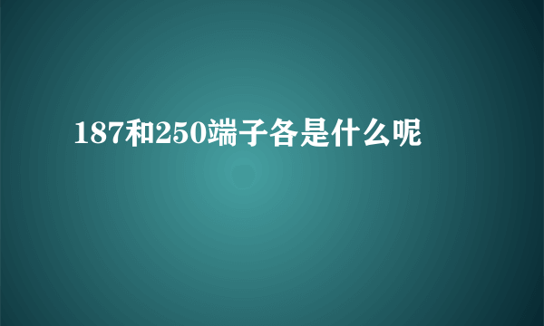 187和250端子各是什么呢