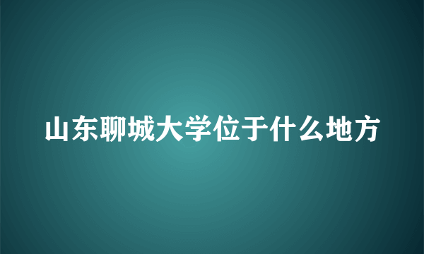 山东聊城大学位于什么地方