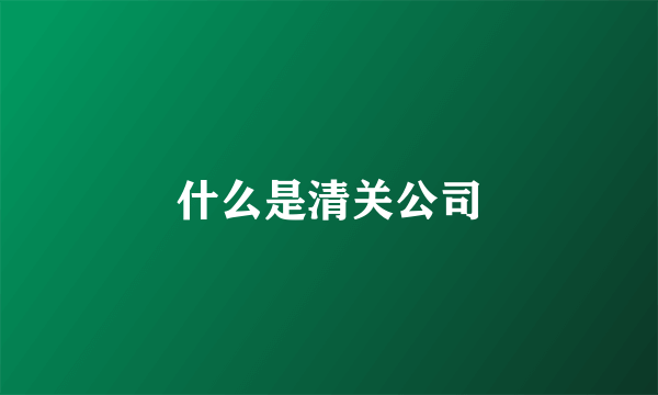 什么是清关公司