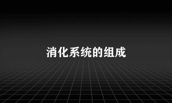 消化系统的组成