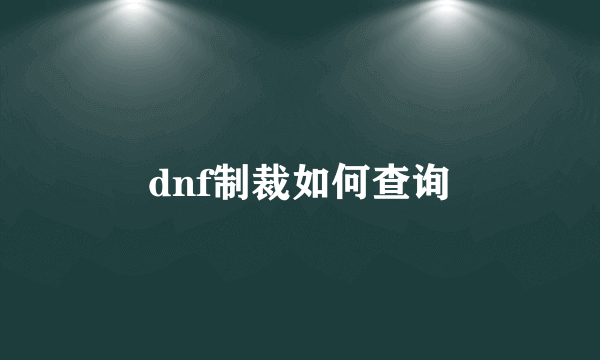 dnf制裁如何查询