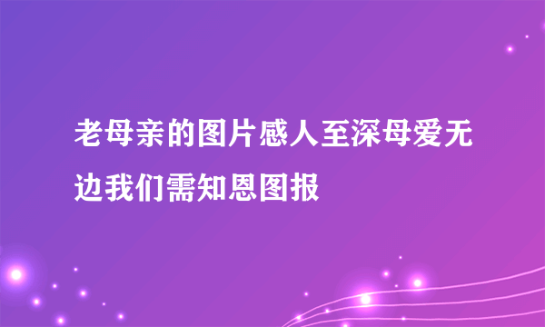 老母亲的图片感人至深母爱无边我们需知恩图报