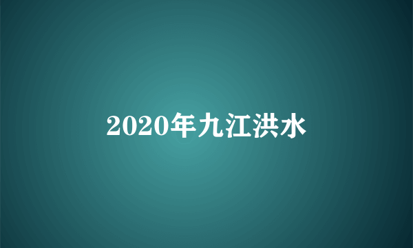 2020年九江洪水