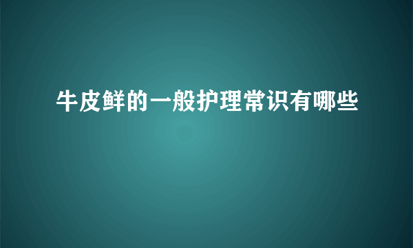 牛皮鲜的一般护理常识有哪些