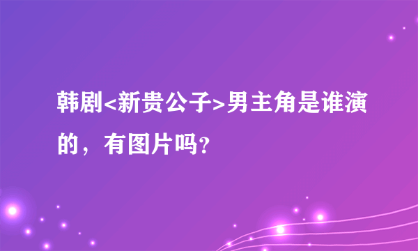 韩剧<新贵公子>男主角是谁演的，有图片吗？