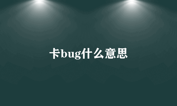 卡bug什么意思