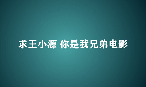 求王小源 你是我兄弟电影